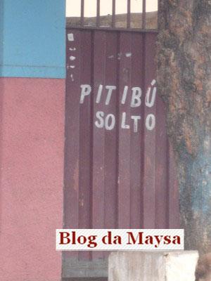 PitibÃº Solto - Foto tirada por mim dia 13/01/2008 no bairro Major Prates em Montes Claros - MG